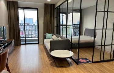 Căn hộ 1 phòng ngủ đủ nội thất – Le capitole